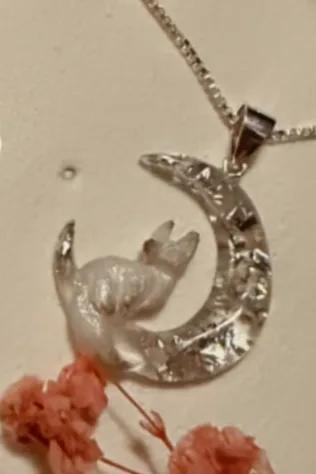 Dije de zorro con luna en plata con flores, enviado por M.G.